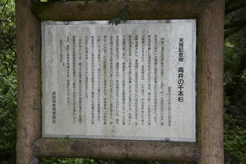 ̐{10